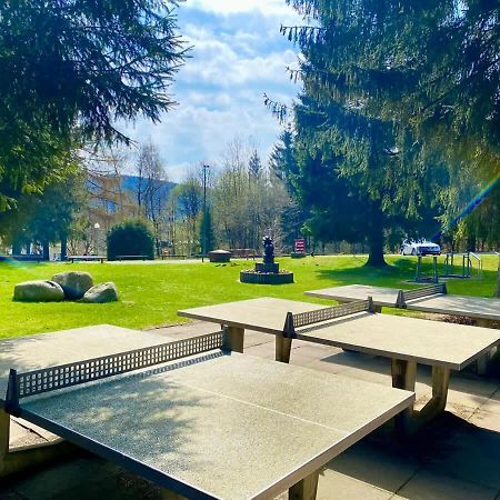 Relaxapartments Abendsonne Im Herzen Des Harzes - Ein El Dorado Fuer Wanderer, Biker Und Ruhesuchende - Mit Sonnigem Balkon Und Platz Fuer Bis Zu 3 Personen Goslar Bagian luar foto