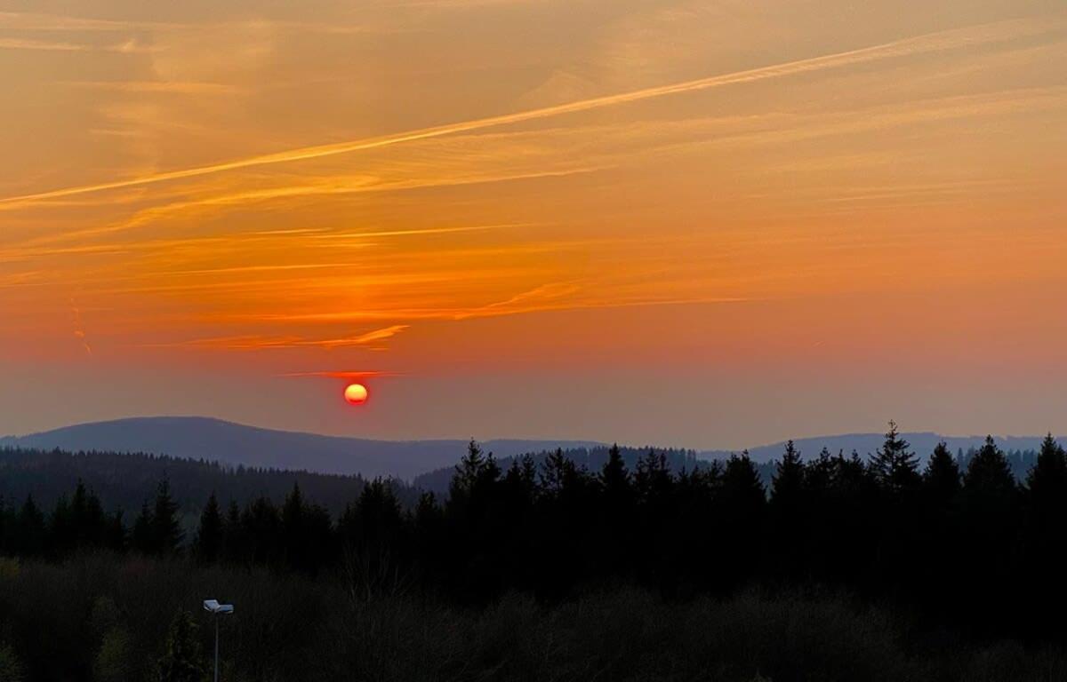 Relaxapartments Abendsonne Im Herzen Des Harzes - Ein El Dorado Fuer Wanderer, Biker Und Ruhesuchende - Mit Sonnigem Balkon Und Platz Fuer Bis Zu 3 Personen Goslar Bagian luar foto